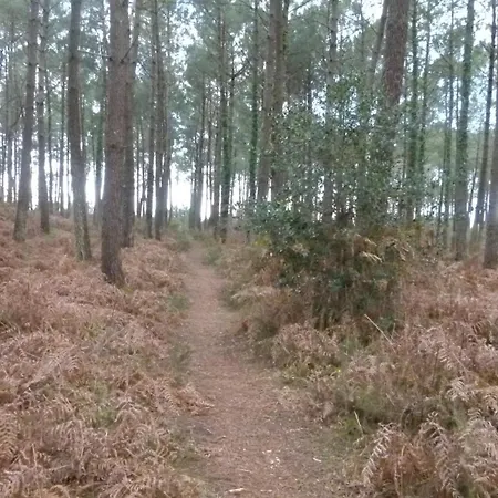 Semesterbostad Les Calicots *