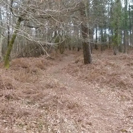 Semesterbostad Les Calicots Sanguinet