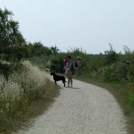 Les Calicots Semesterbostad *