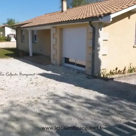 Les Calicots * Sanguinet