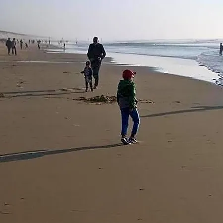 Hébergement de vacances Les Calicots Sanguinet