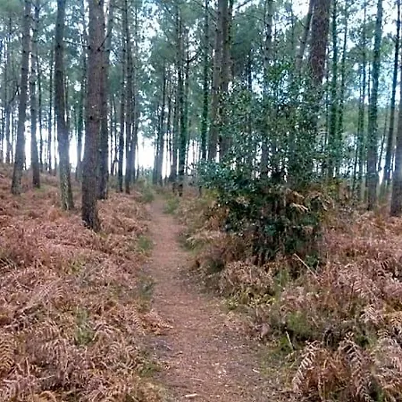 Les Calicots Casa de Férias Sanguinet