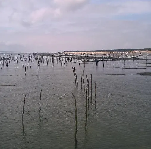 Ferienhaus Les Calicots *