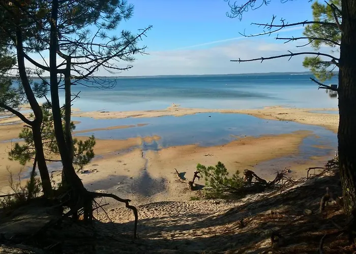Les Calicots Ferienhaus Sanguinet