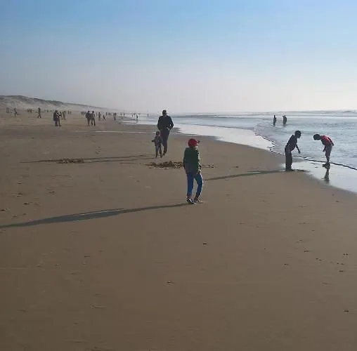 Ferienhaus Les Calicots Sanguinet