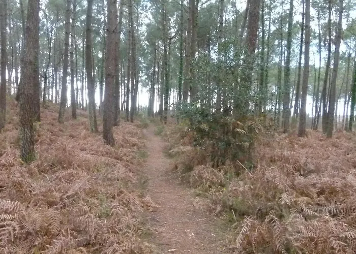 Ferienhaus Les Calicots *