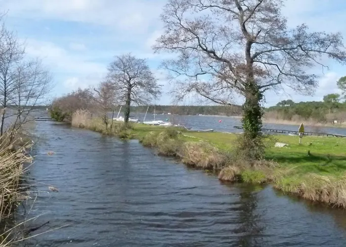 Les Calicots Ferienhaus Sanguinet