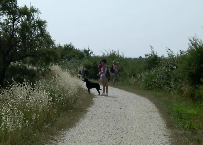 Les Calicots Ferienhaus *