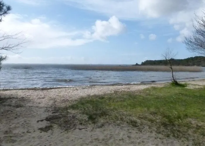 Les Calicots Ferienhaus Sanguinet